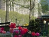 spring-in-nyc-4-28-201317